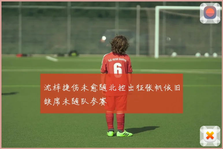 沈梓捷伤未愈随北控出征张帆依旧缺席未随队参赛